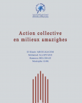 Action collective en milieux amazighes 