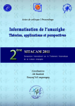 Informatisation de l&rsquo;Amazighe : Th&eacute;orie, Applications et Perspectives 